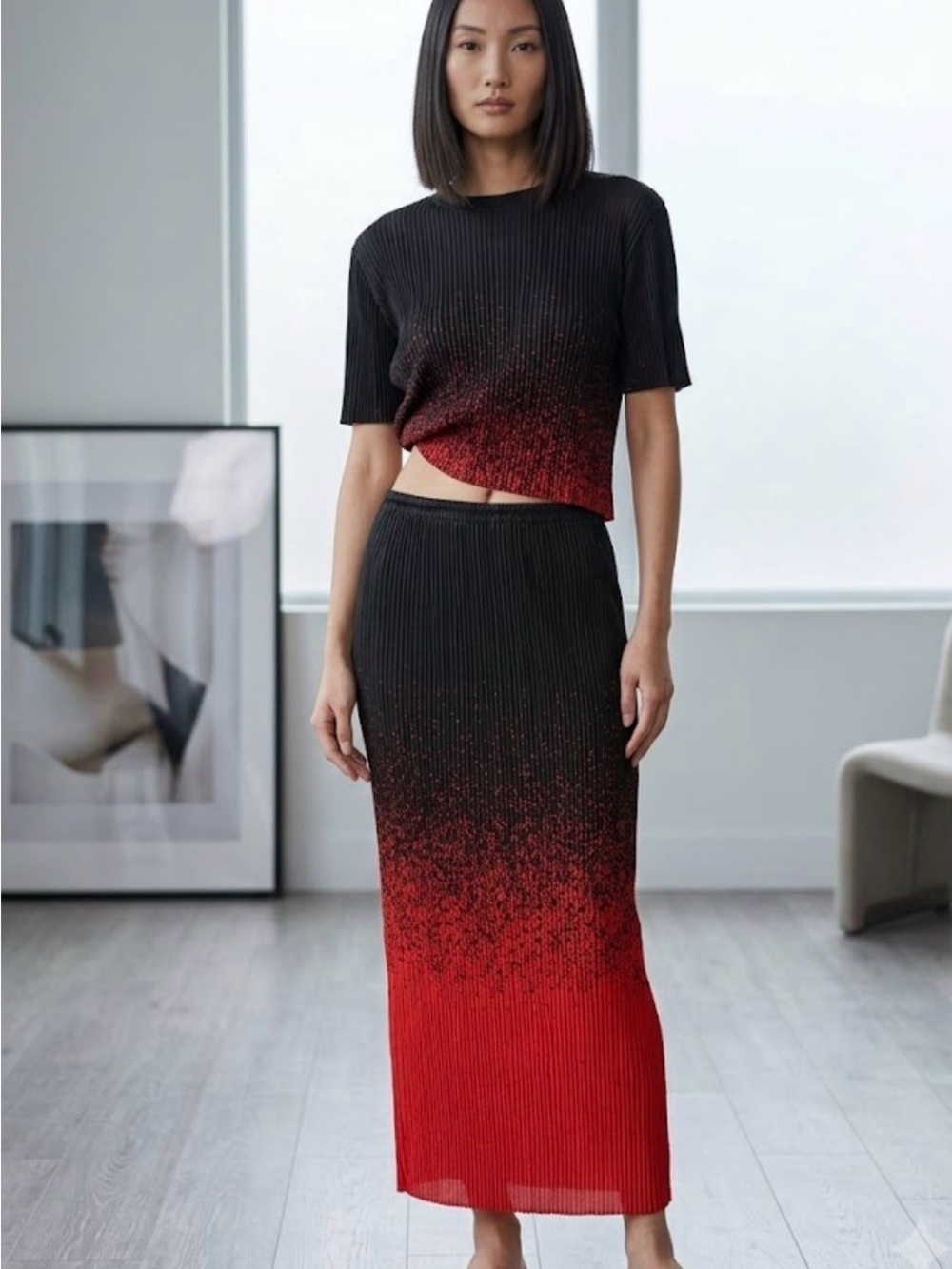 Alexander Wang Ombre Pleated 2-Piece Set Black Red Spray Gradient Top & Skirt